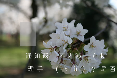 通知返崗不去被開(kāi)除：是否需要辦理手續(xù)？是否有工資？